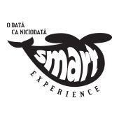 smartexperience.ro